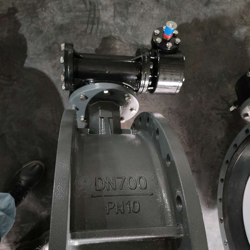  Large diameter turbine flange butterfly valve detail